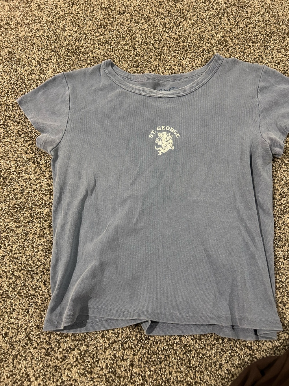 Brandy Melville Short Sleeve Ribbed Tee